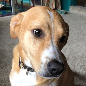 Meet your Posher, Delaney